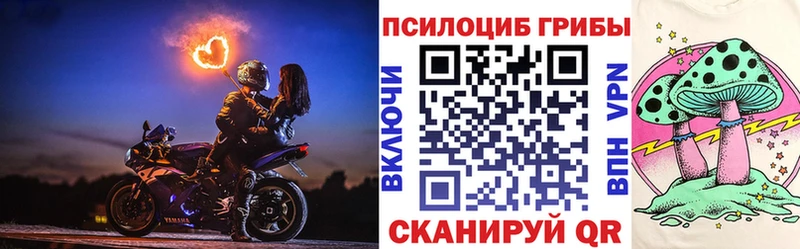 Галлюциногенные грибы Psilocybine cubensis  что такое наркотик  Липецк 